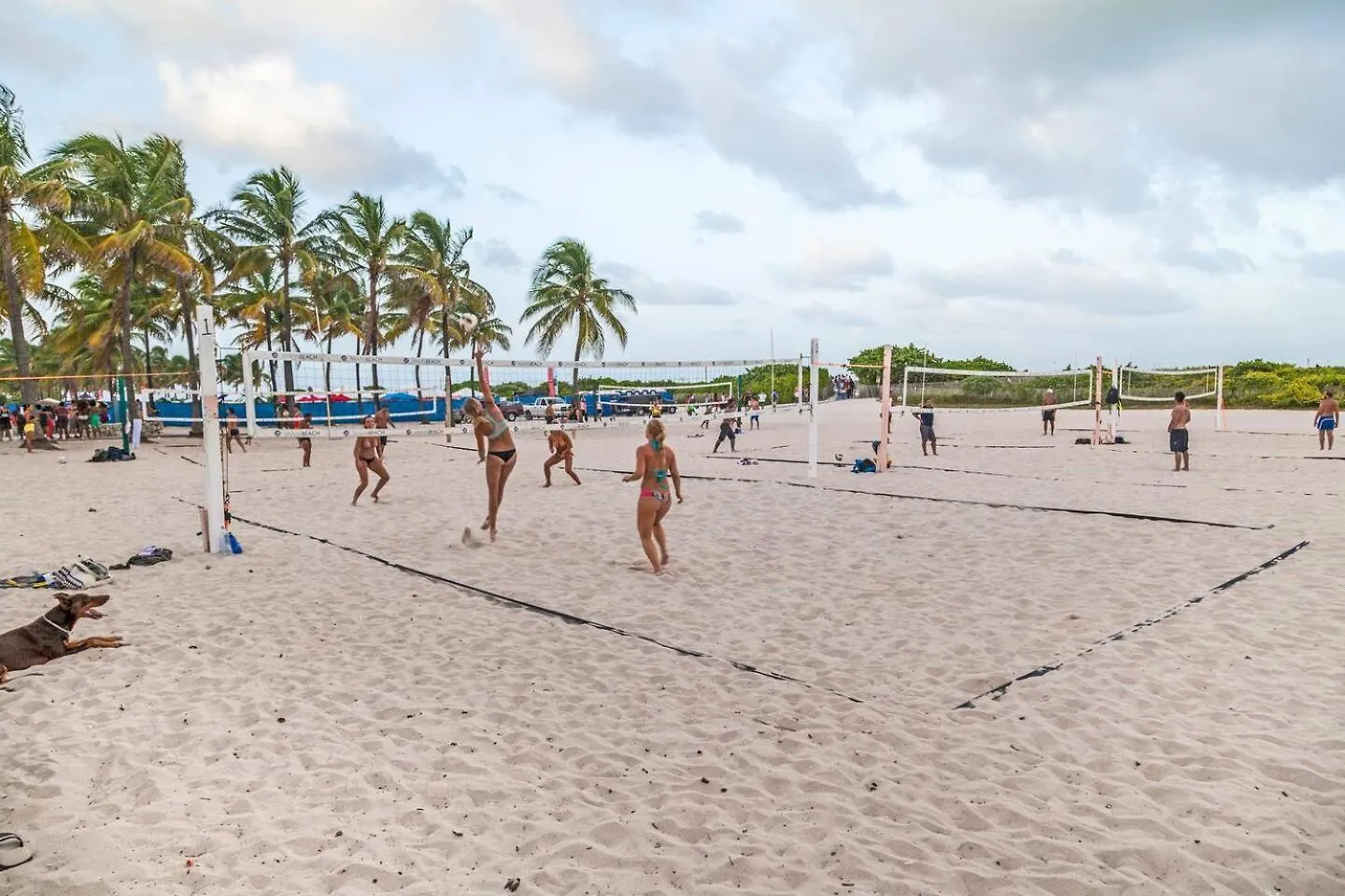 Appartement 5br Hottubpooltableminigolf 7 Min To Wynwood Miami