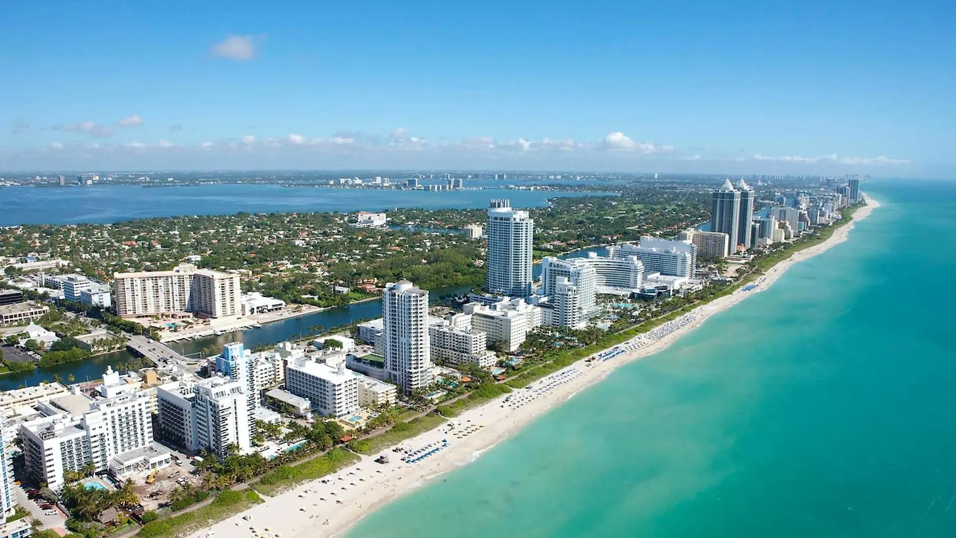 Explore Miami's Heat - Cozy Pool & Gym Miami