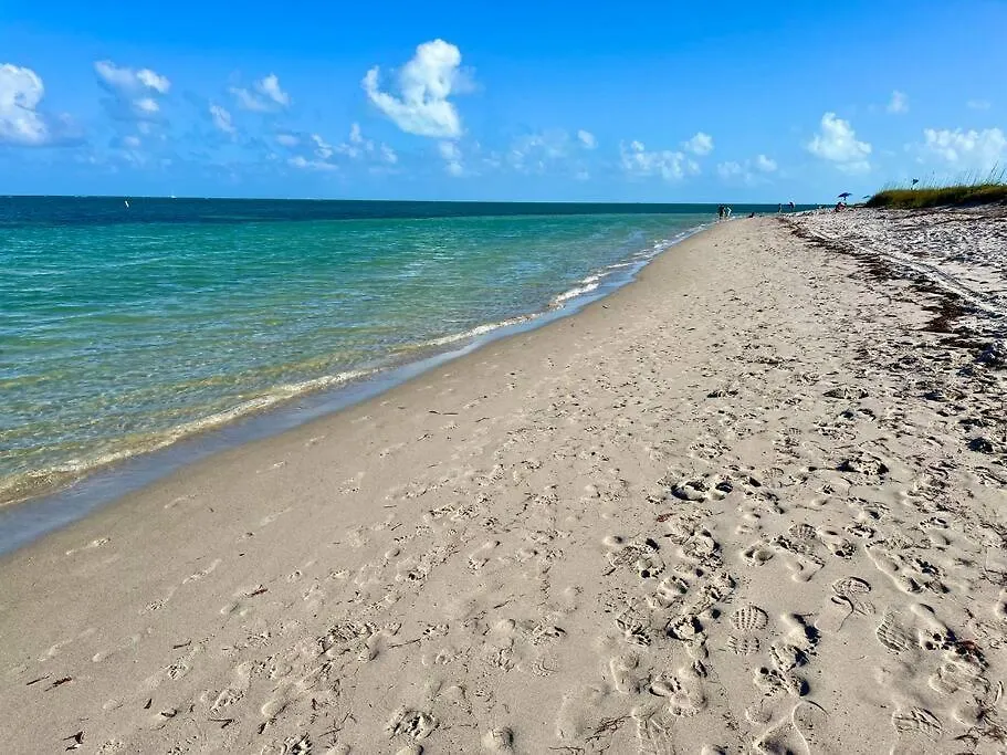 Apartment Brand New! Lovely 1 Bedroom With Pool By The Miami