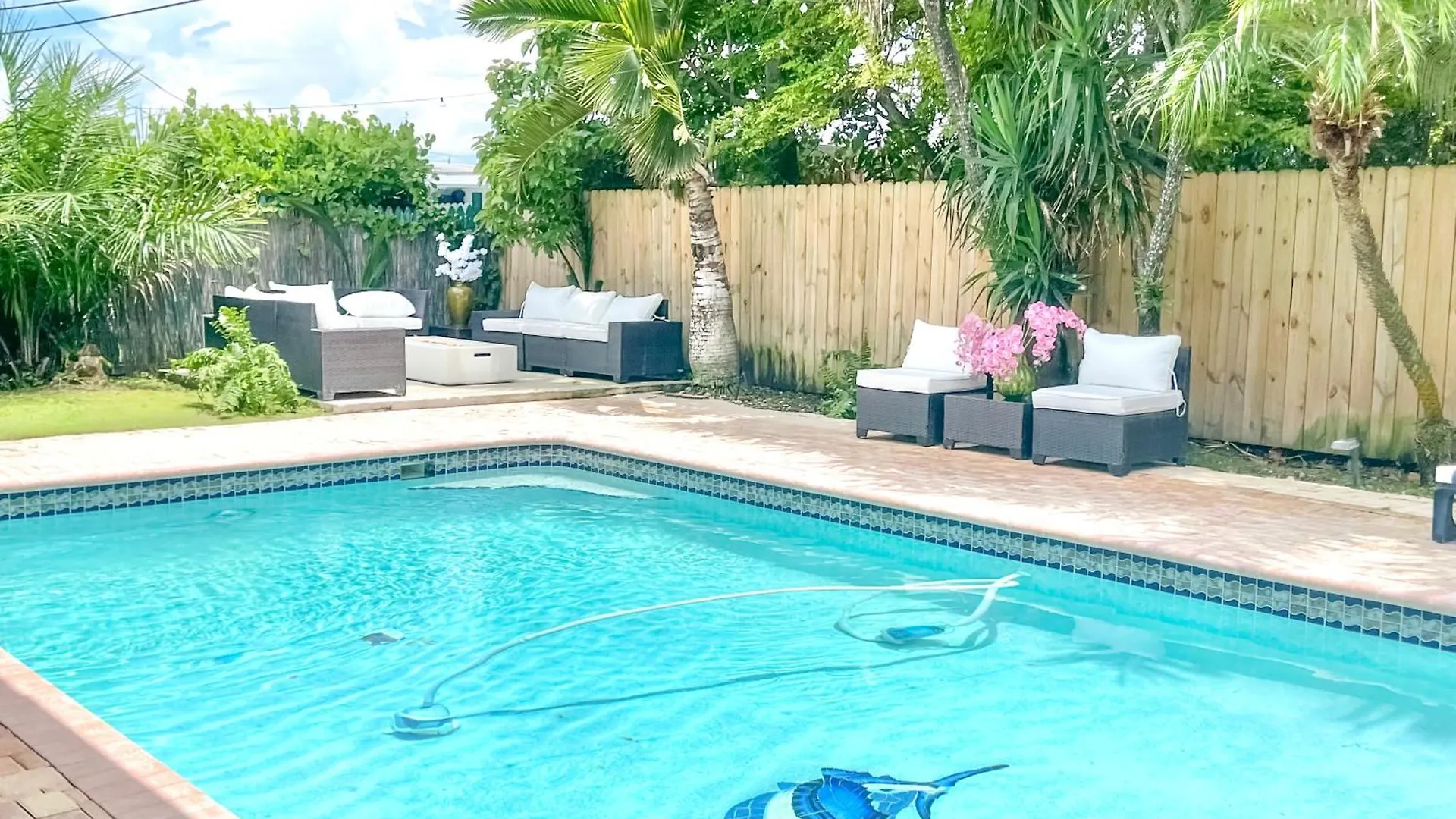 Dreampoolhousemiami