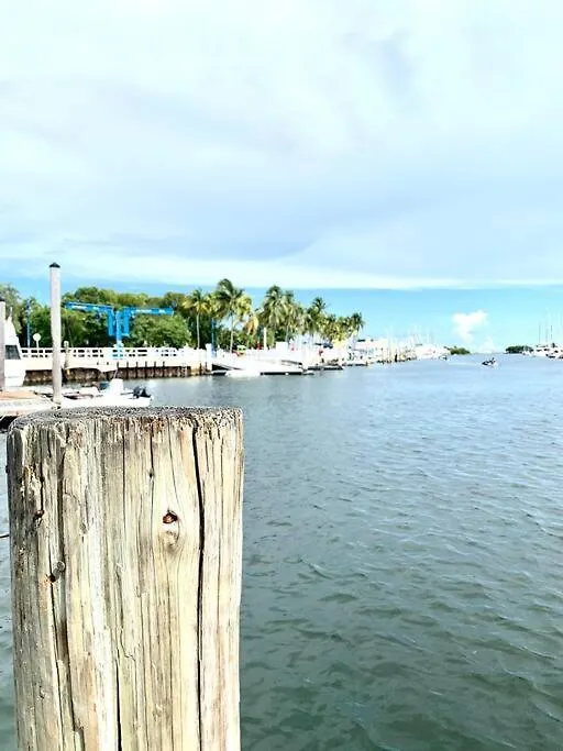 Groveo5 10 Minutes From Lejlighed Miami