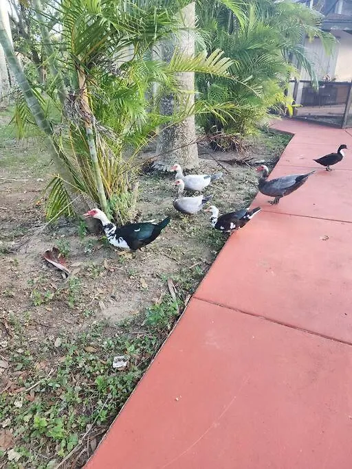 Angels Village & Mini-zoo Miami