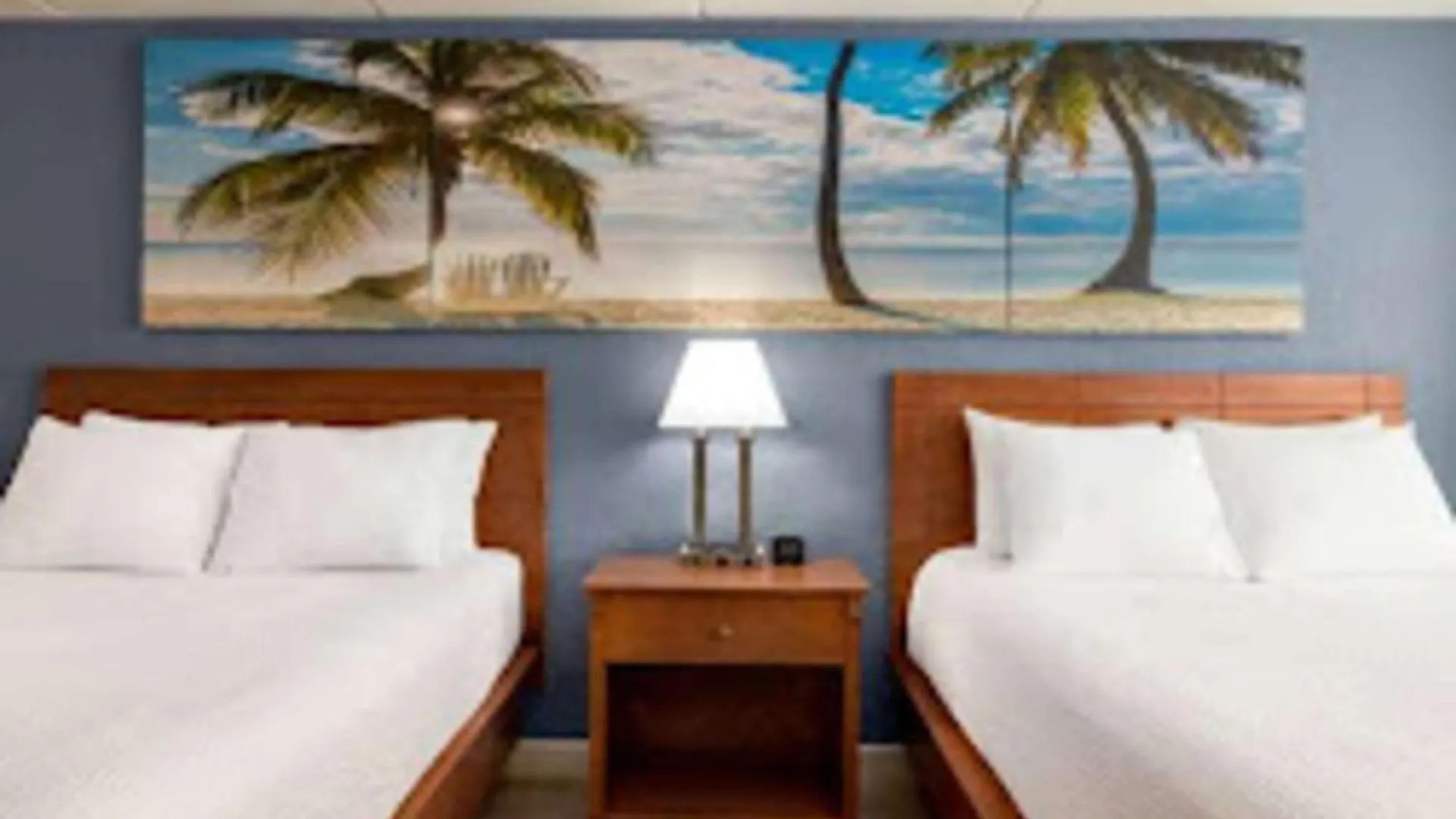 Envision International Airport Hotel 3*