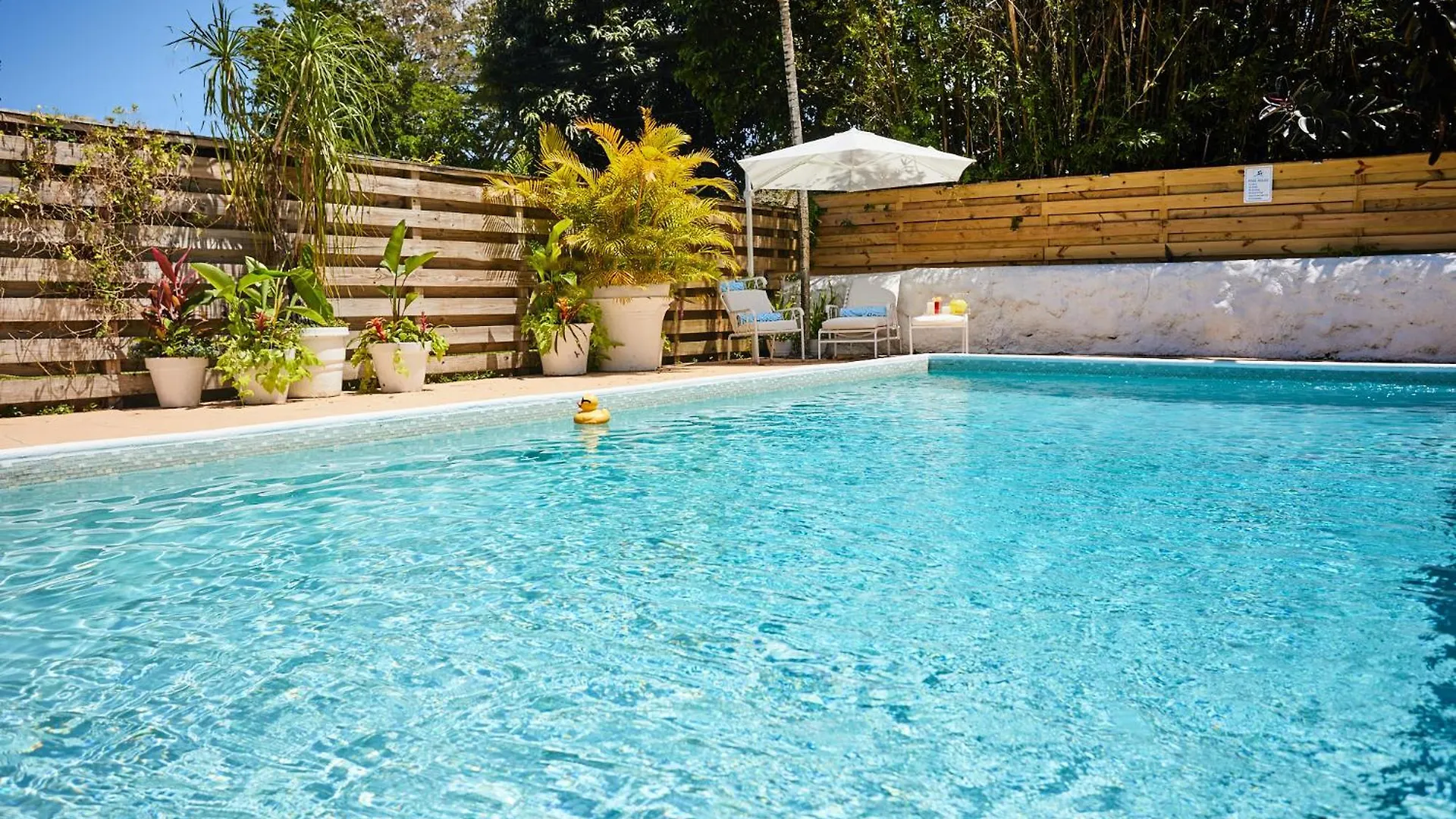 Private Pool Oasis