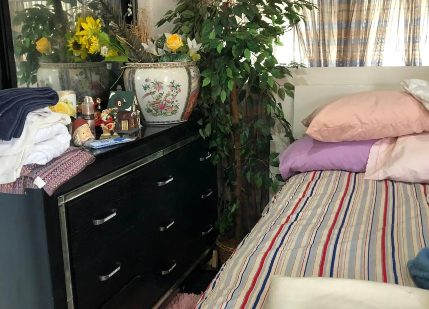 Cozy Moses North Miami