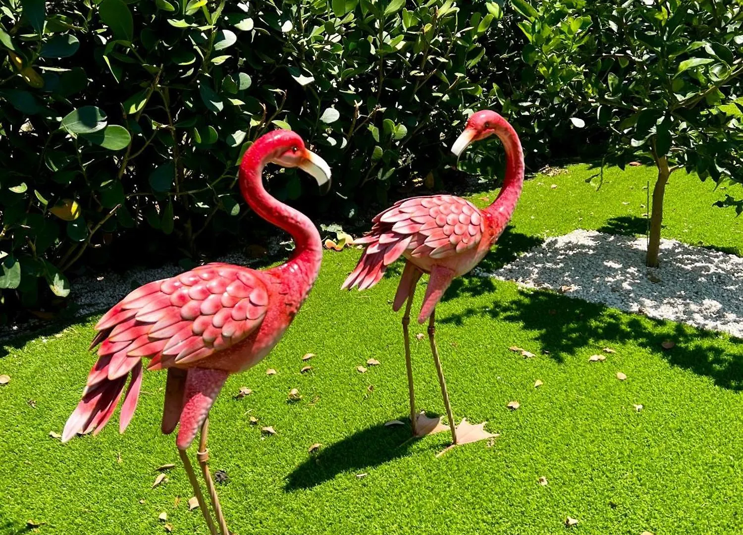 Villa Pura Vida Miami