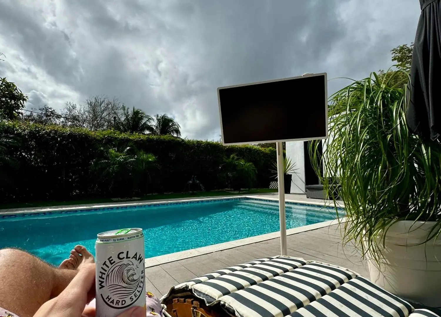 Pura Vida