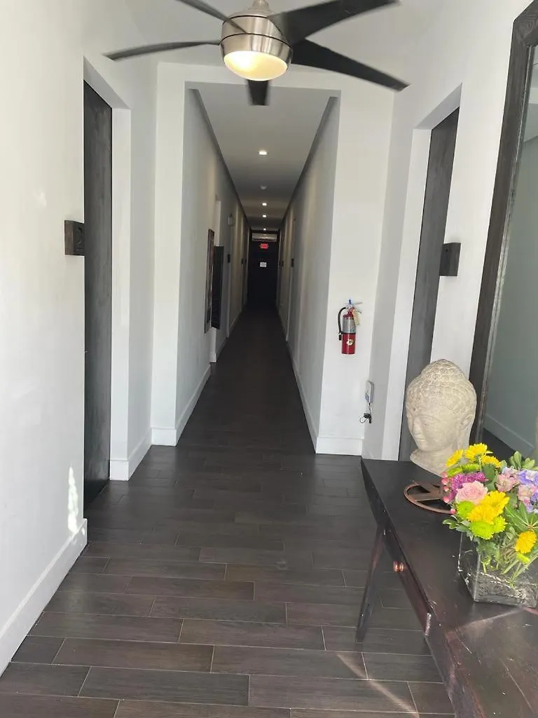 Vive Zen Master For 4 Guests Miami