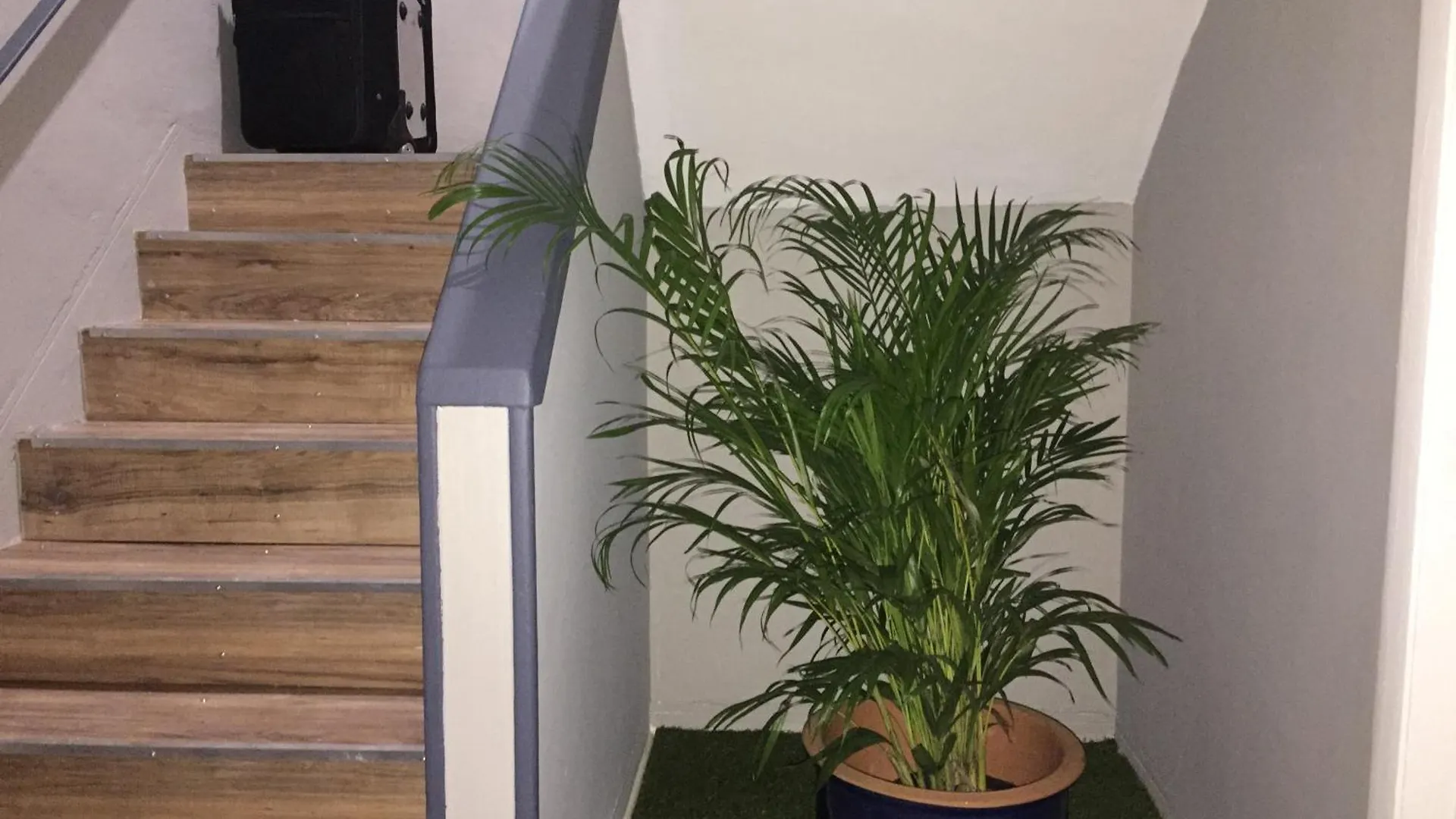 1br Apt W Free Parking And Wifi