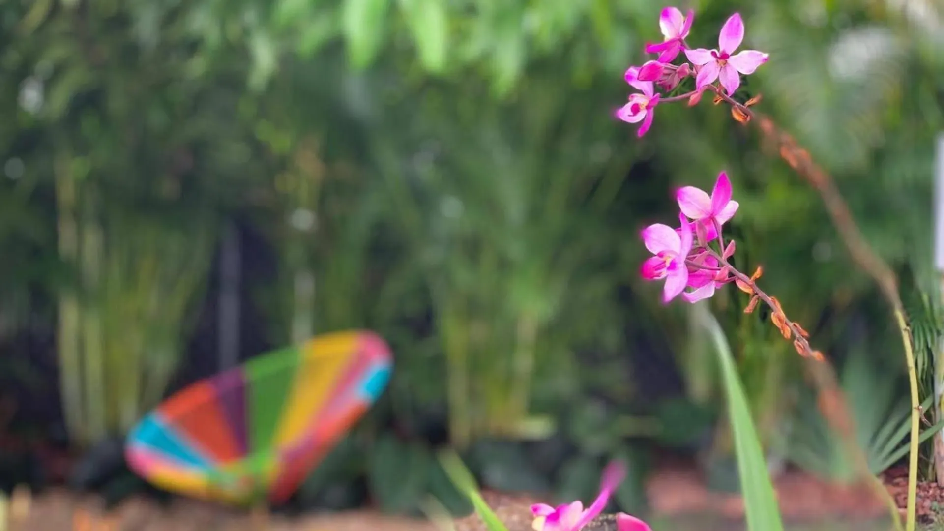 Holiday home Experience Magic: Tropical Pool Escape *
