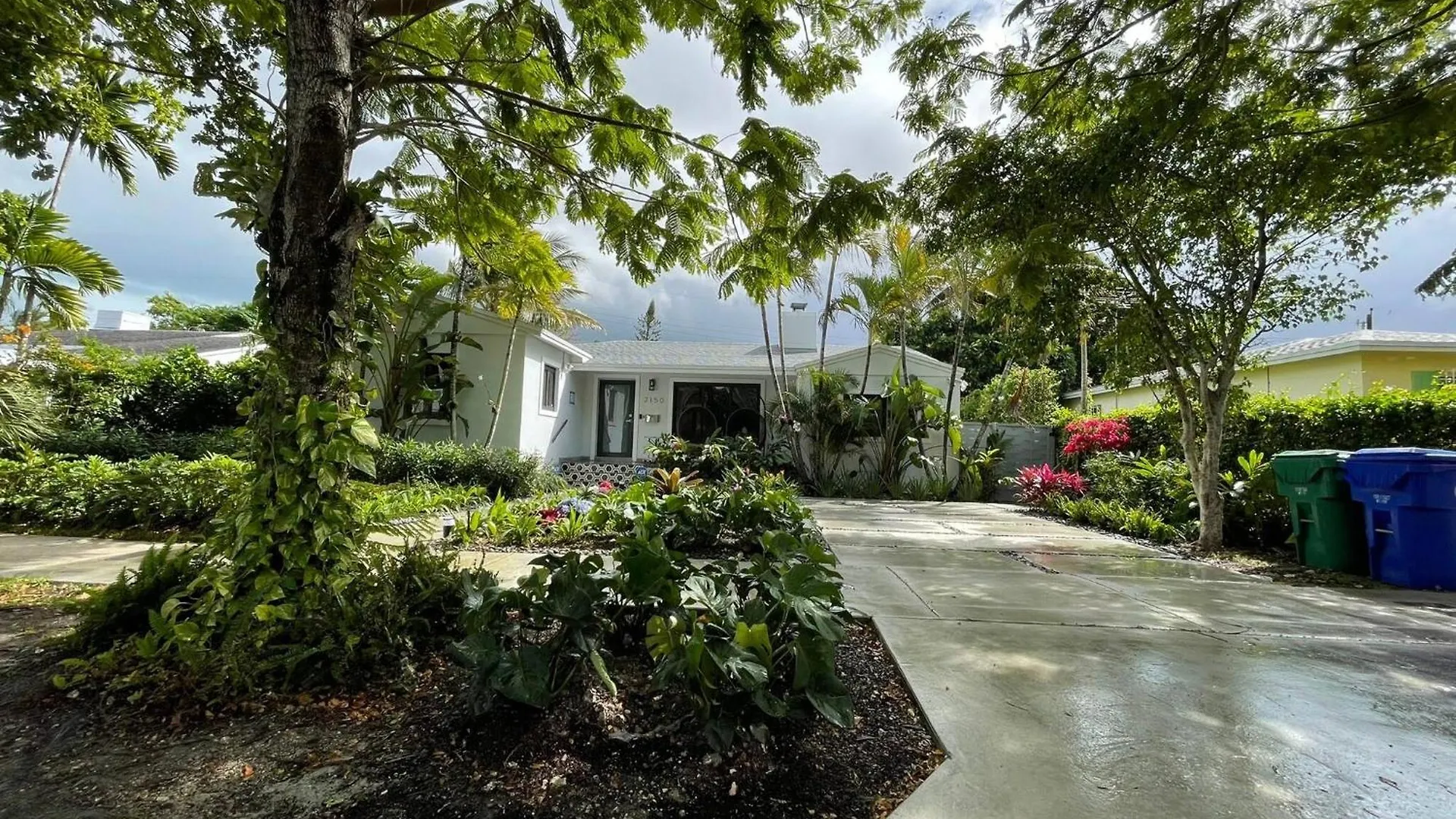 Experience Magic: Tropical Pool Escape