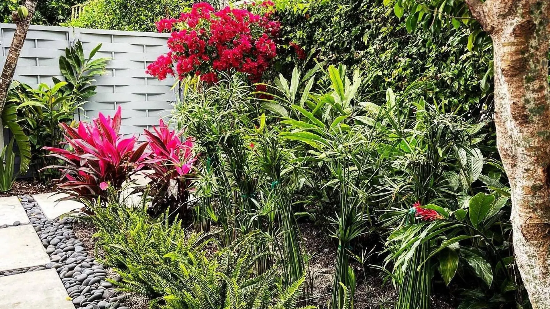 Experience Magic: Tropical Pool Escape Holiday home Miami