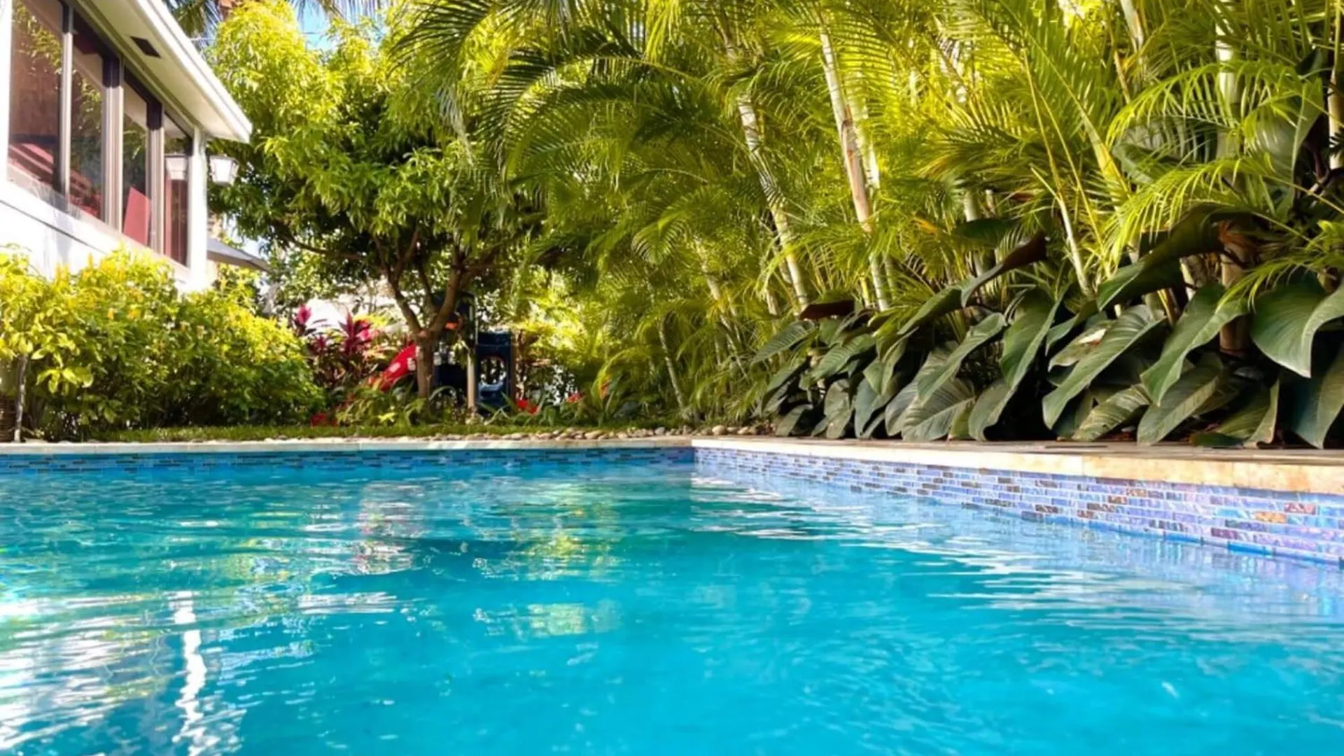 Experience Magic: Tropical Pool Escape * Miami