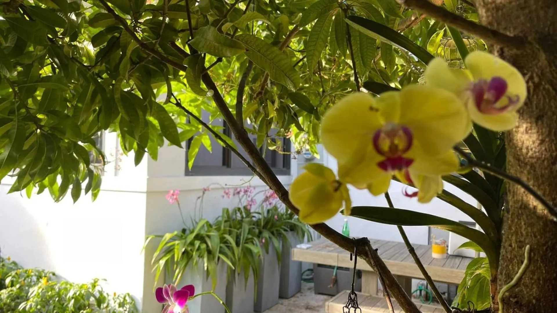 Holiday home Experience Magic: Tropical Pool Escape