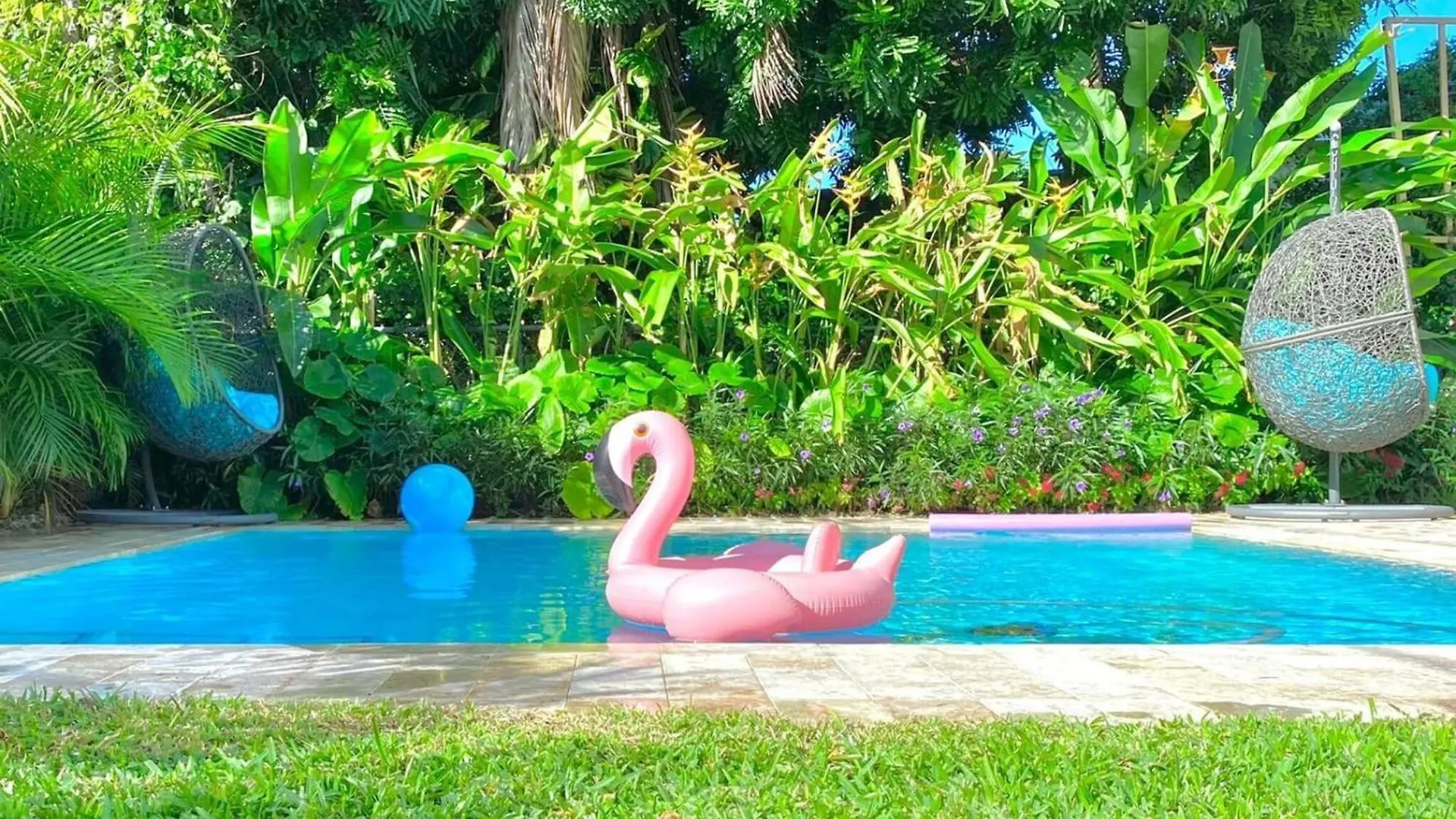 Experience Magic: Tropical Pool Escape Miami