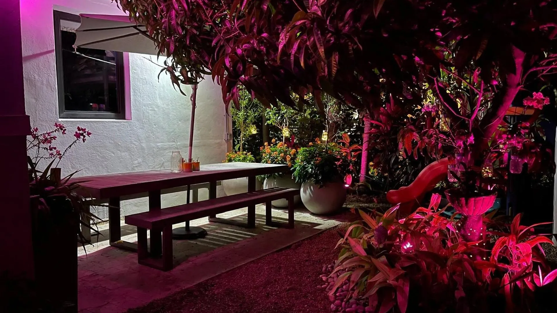 Experience Magic: Tropical Pool Escape Holiday home *