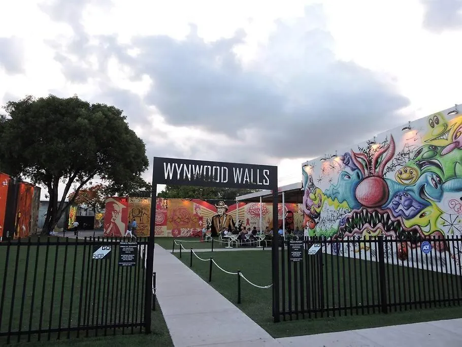 Modern Designer In Vibrant Little Haiti