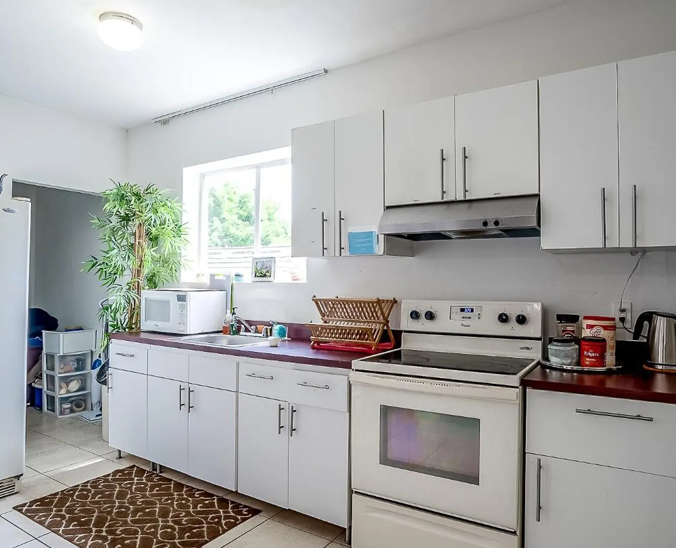Private At Miami, Buena Vista With Parking Homestay Miami