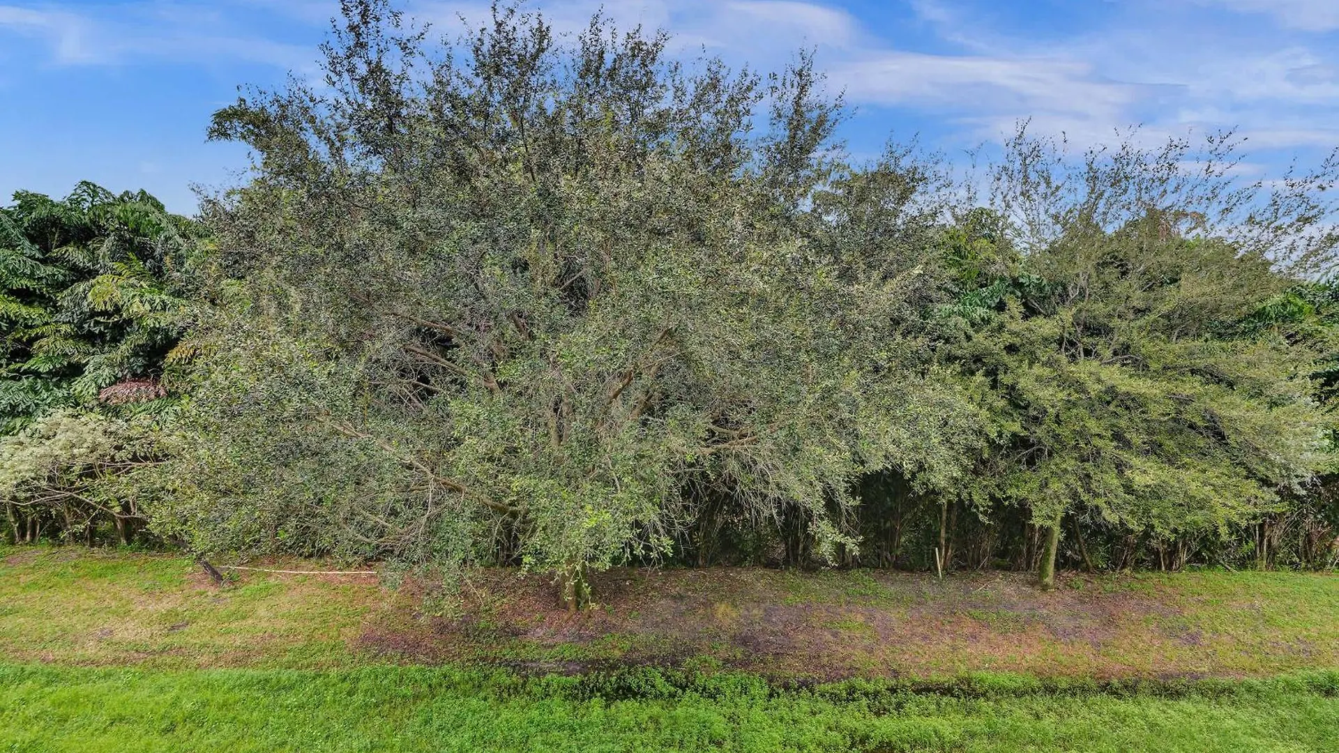 Vista-2 Story W 3bdrms & Golf View