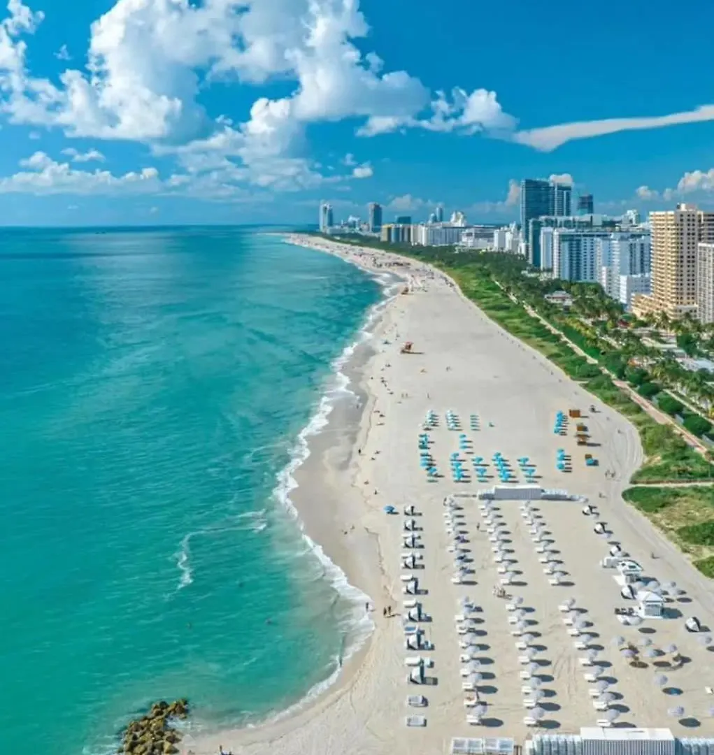 Huge Pool & Gym - Explore Miami's Heat Miami