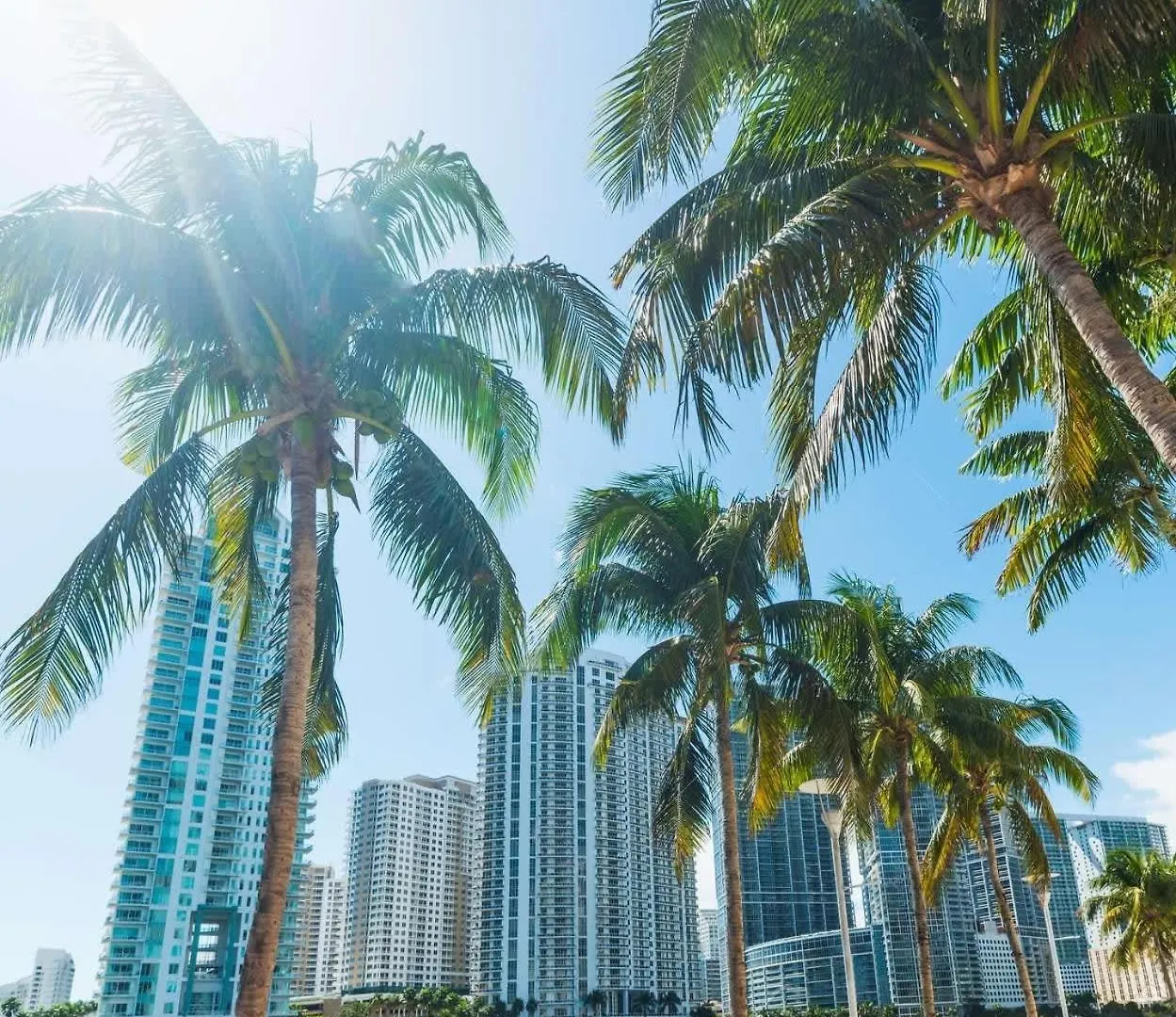 Apartment Huge Pool & Gym - Explore Miami's Heat Miami