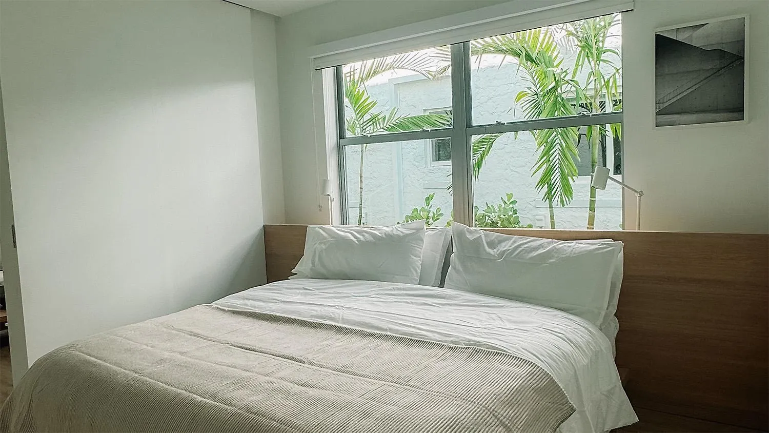 Haus Design District 公寓 迈阿密