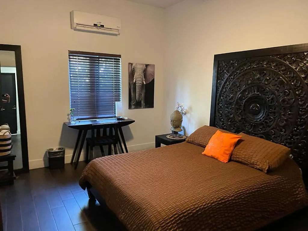 Vive Zen Queen Room Apartment *