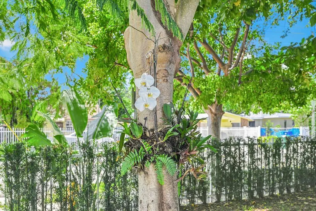 Stylish Modern Near Wynwood & Design District Apartment