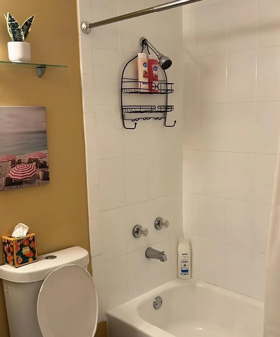 Beautiful, Fully Furnished 4bed 2bath House - 5 Minute Walk To Miracle Mile Downtown Coral Gables Villa
