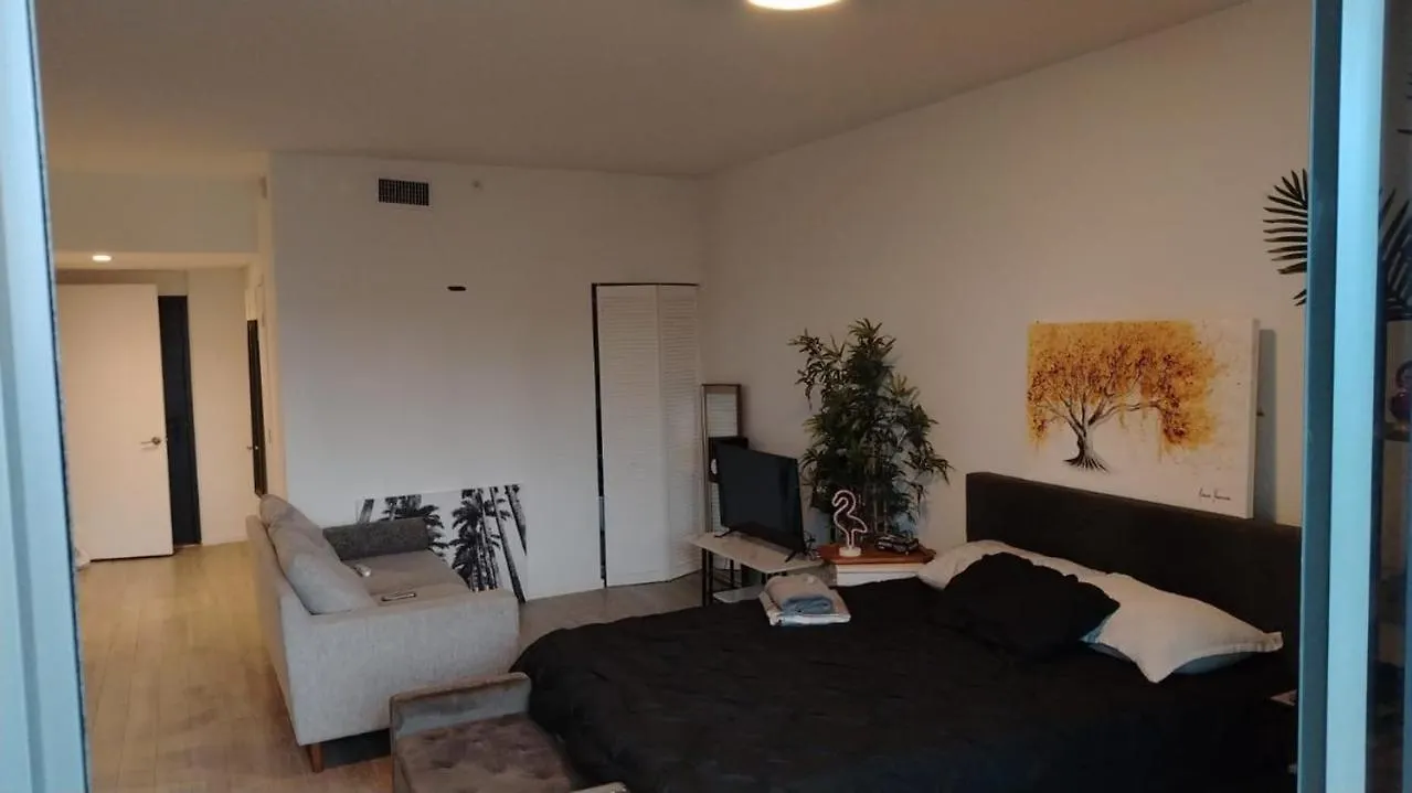 Apartment New Modern Downtown Miami