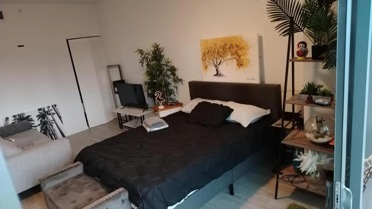 New Modern Downtown Apartment *