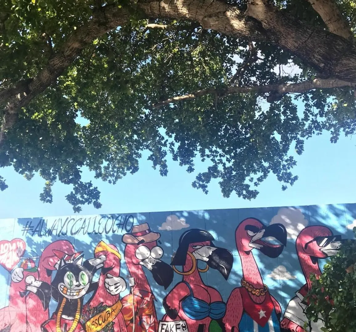 Azucar * Miami