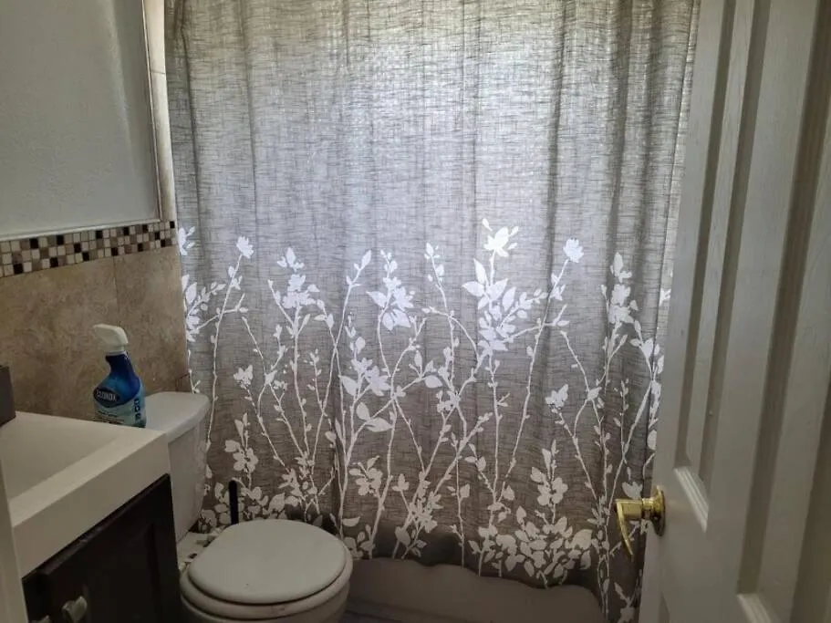 Apartment Newly Renovated 3 Bedroom / 1 Bath! *