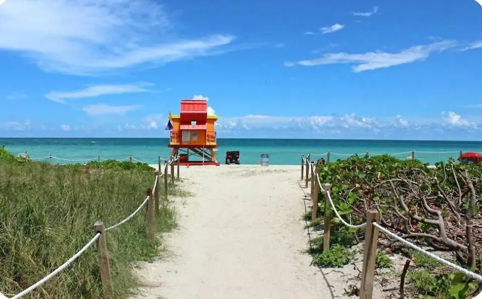 My Tropical Paradise In * Miami