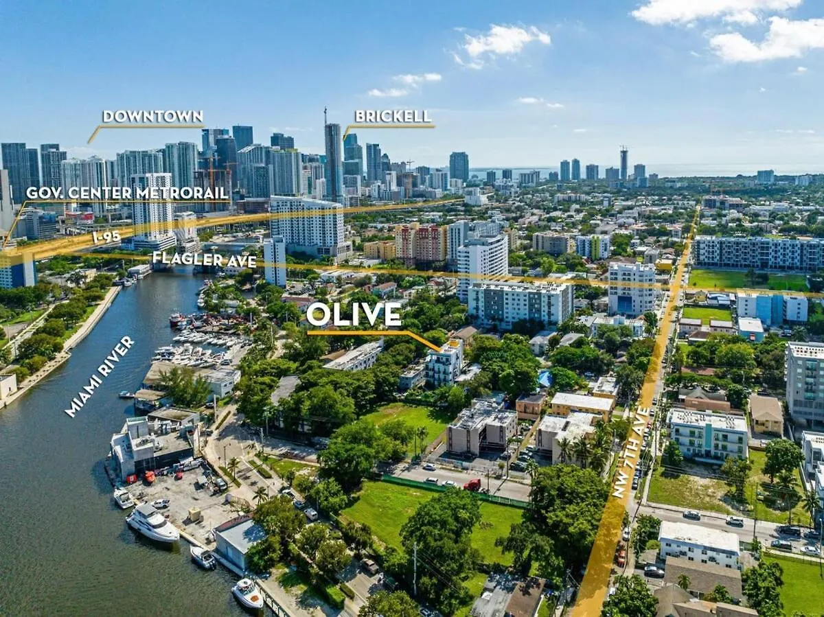 Olive Miami