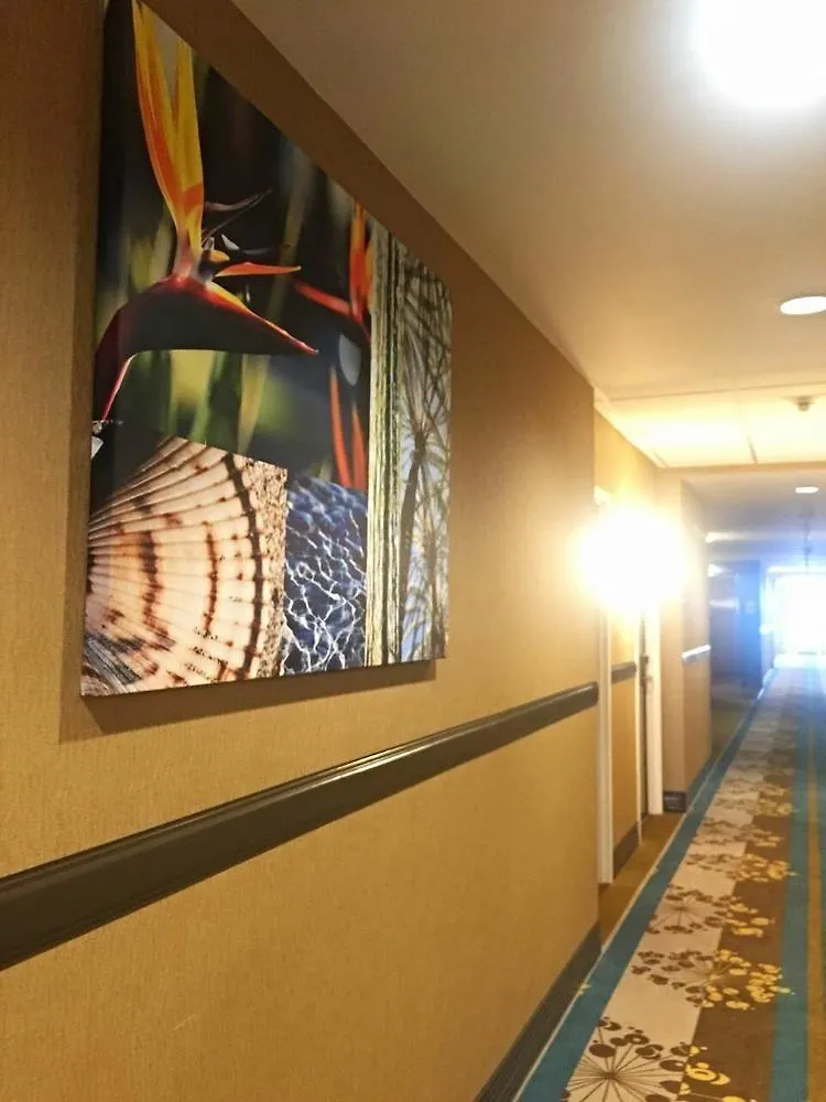 Western Miami Executive Airport And 3* Kendall