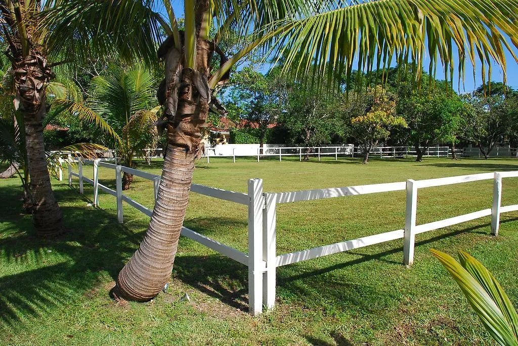 Holiday home La Finca Miami