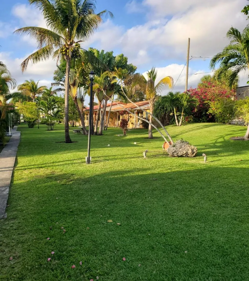 Sunnyside 2* Miami