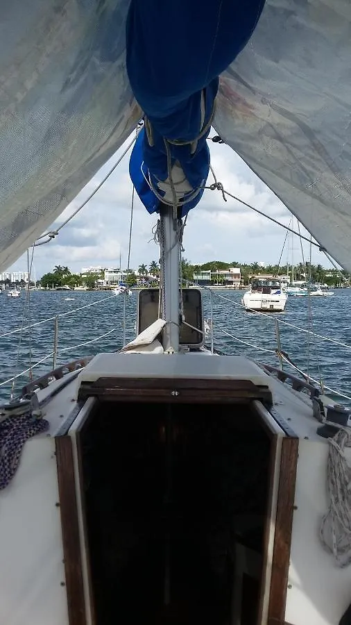 Classic Sailboat 30' Майами