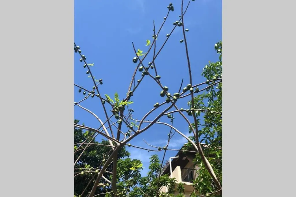 Διαμέρισμα Independent In Little Havana Μαϊάμι