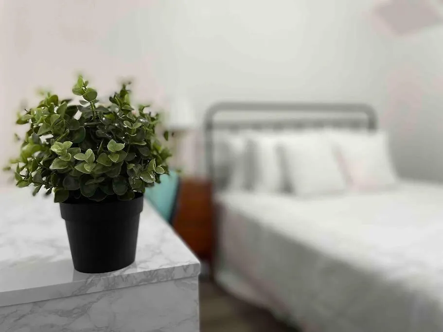 דירה Sleeps 3, Cozy, Boho Style, In The Heart Of -free Parking