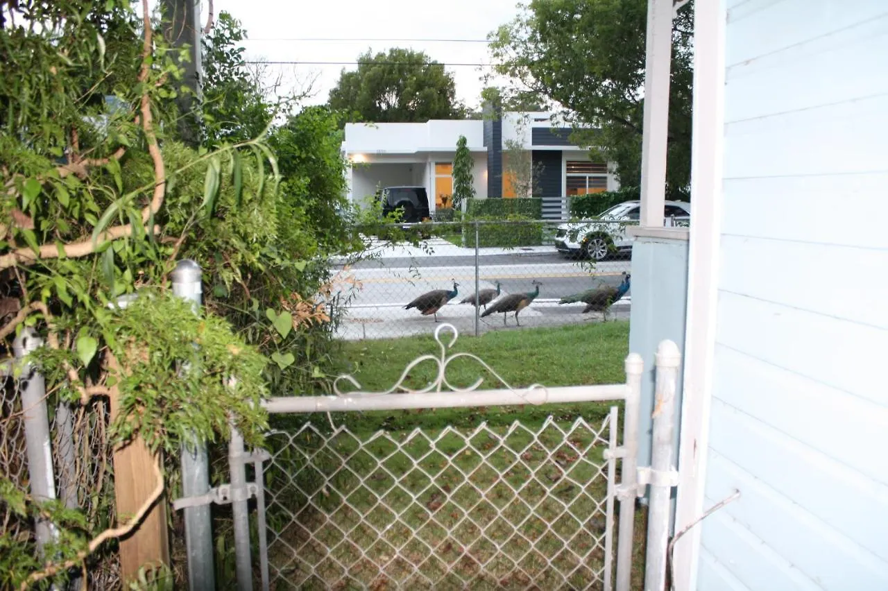 Key West Style Historic In Coconut Grove Florida, The Blue House *