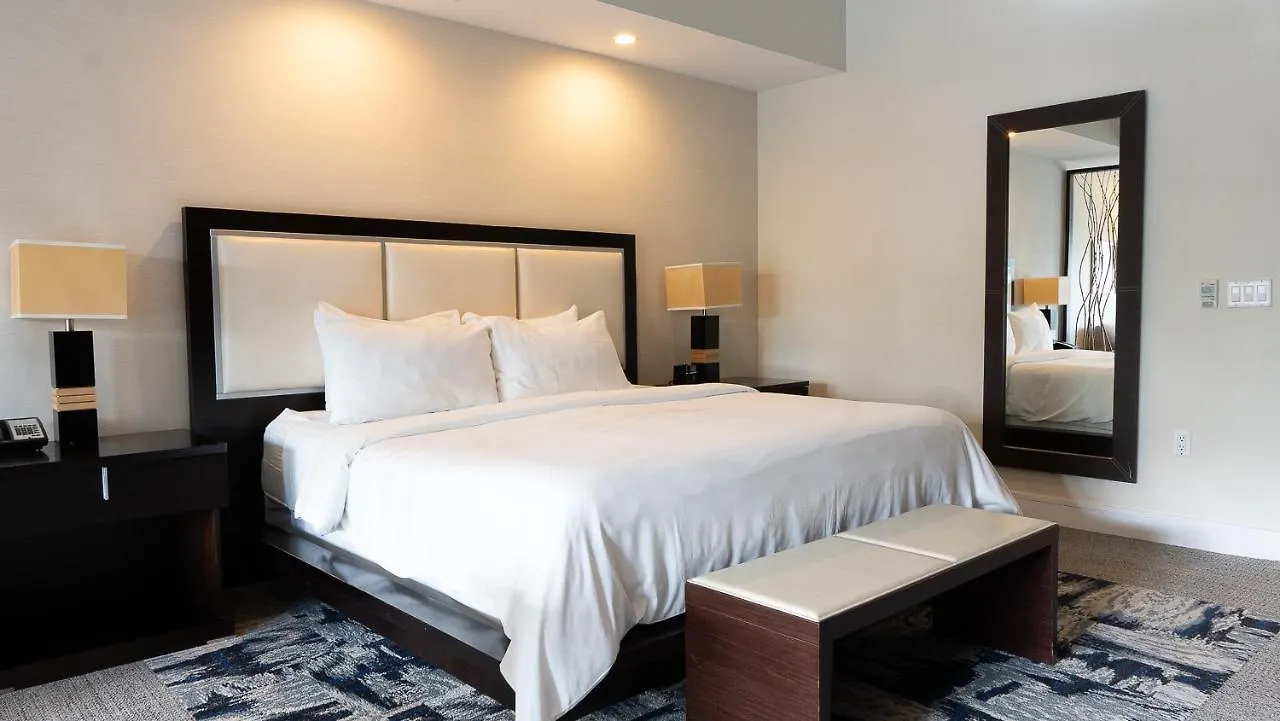 Modern Private Studio - King Bed, Jacuzzi, Balcony And Pool מלון דירות *