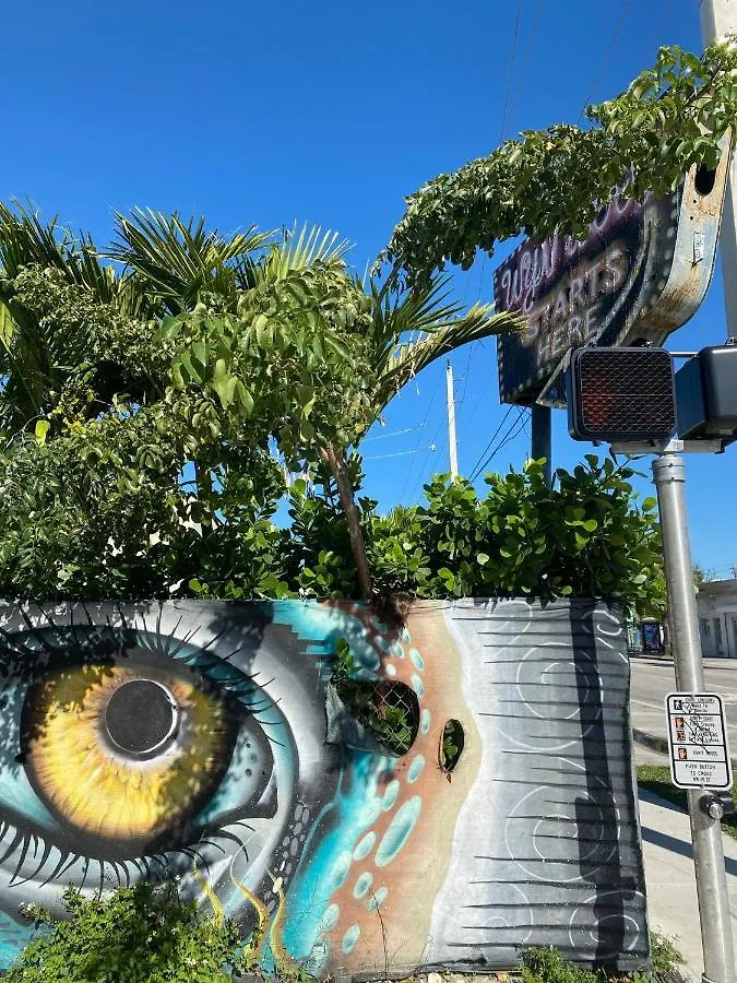 Pansiyon Premium Wynwood Downtown Miami