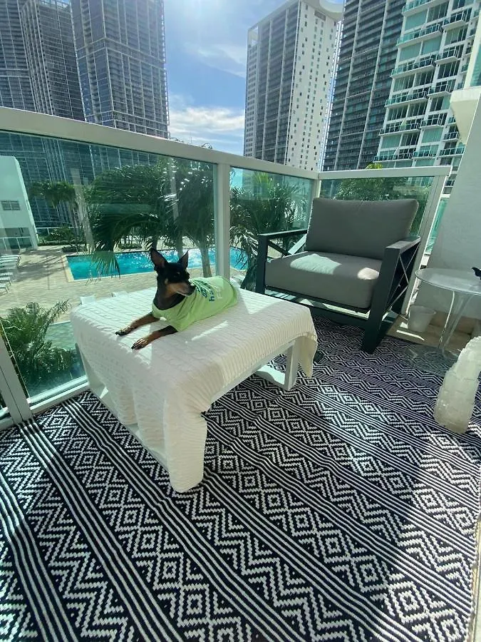 Comfortable In The Brickell Center Area 迈阿密