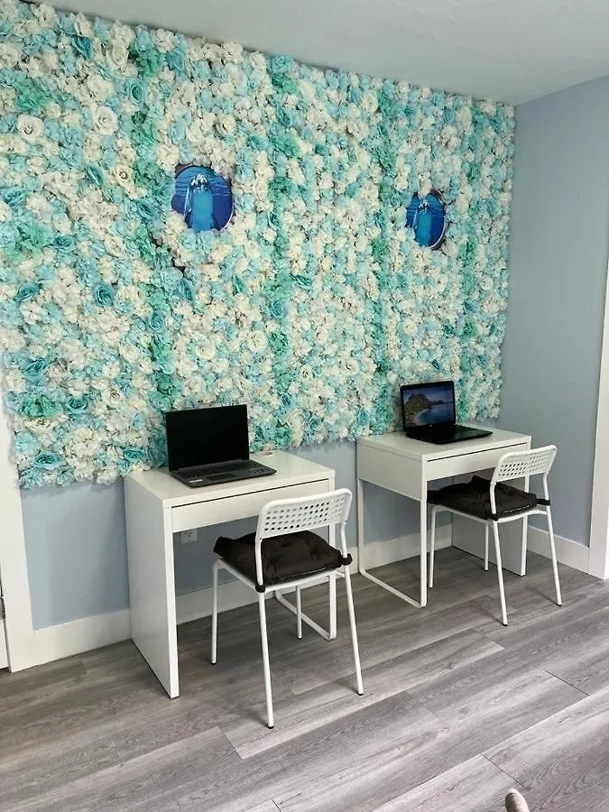 Guest house Blue Little Havana Miami