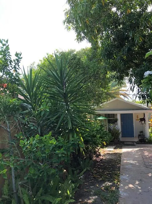 Independent In Little Havana Μαϊάμι
