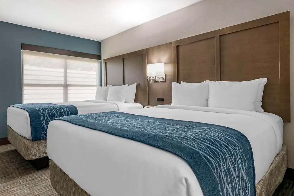Hotel Comfort & Downtown Brickell-port Of Miami