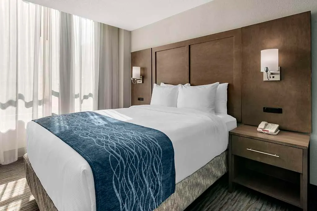 Comfort & Downtown Brickell-port Of * Miami