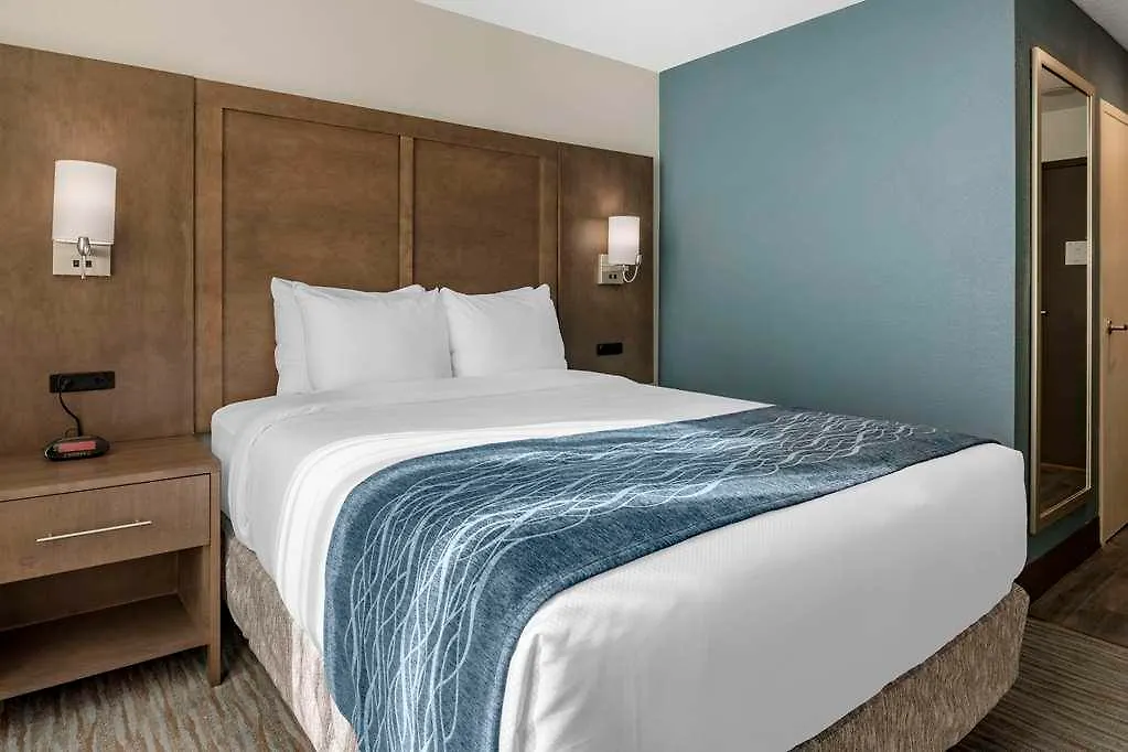 Comfort & Downtown Brickell-port Of